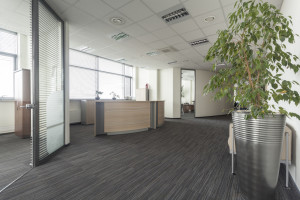commercial sublease